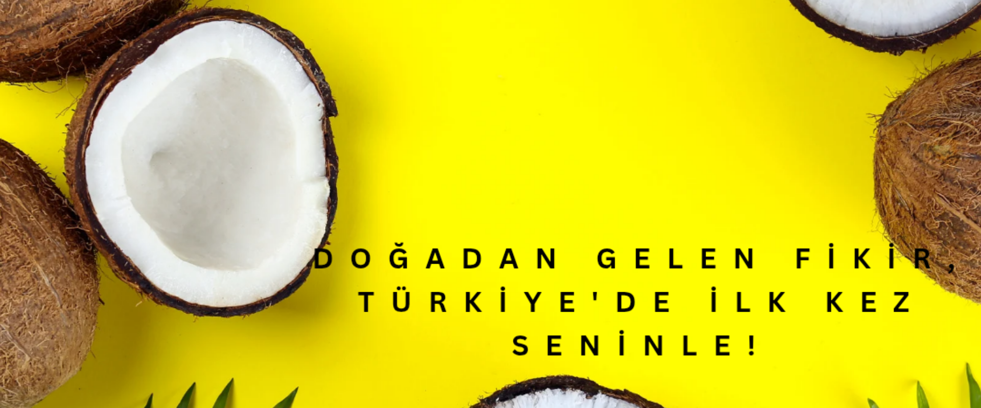 Marka işbirliği için bize ulaşın!